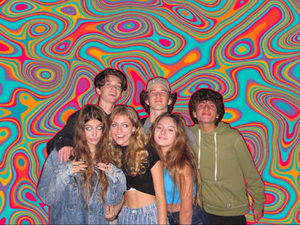 Meet your Posher, Emma